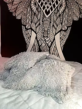 Enzo-wolf33 online show from September 2025 11:05:01 PM