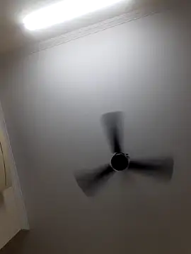 Snapshot of arti9995 chatting on October 2025 01:01:02 PM arti9995 online show from October 2025 01:01:02 PM