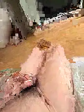 renhedhr online show from November 2025 01:11:02 AM