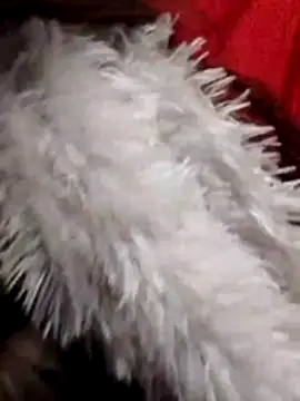 Babe Doll04 online show from January 2026 07:57:01 AM