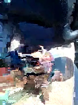 vercf14 online show from April 2026 12:55:02 PM