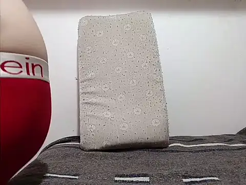 Snapshot of Shaskpeare chatting on September 2025 09:52:02 PM Shaskpeare online show from September 2025 09:52:02 PM