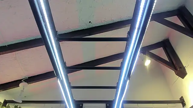 ItaloMoore online show from November 2025 11:22:02 AM