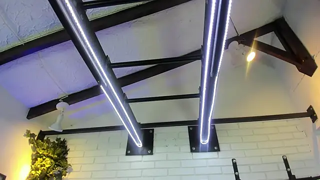 ItaloMoore online show from November 2025 11:25:01 AM