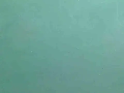 sexychubb101 online show from November 2025 01:50:01 AM