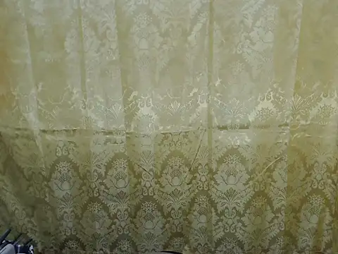 Soft Angel8 online show from February 2026 12:16:01 PM