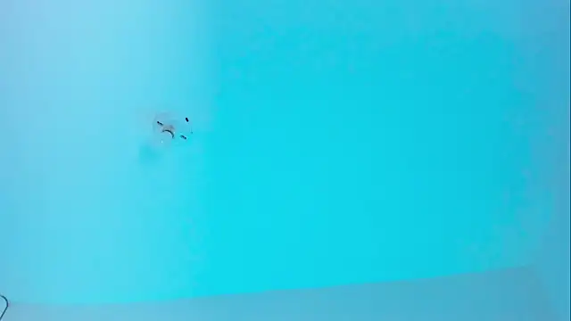 Ellope  online show from November 2025 09:59:01 PM