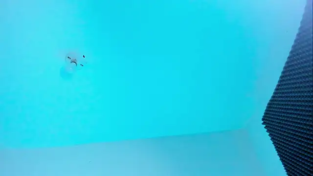 Ellope  online show from October 2025 11:03:01 PM