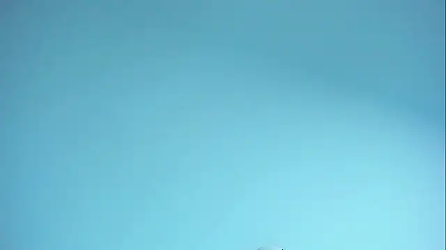 Im naho online show from April 2026 10:38:02 PM