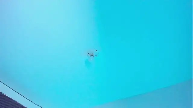 Im naho online show from November 2025 10:02:02 PM