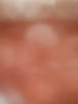 NoxiousFilename online show from October 2025 09:42:02 AM