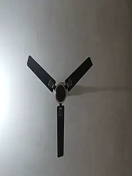 NoxiousFilename online show from November 2025 05:56:01 AM