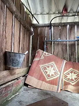 PhanHaa online show from February 2026 02:57:01 AM