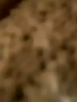 PhanHaa online show from November 2025 01:54:01 AM