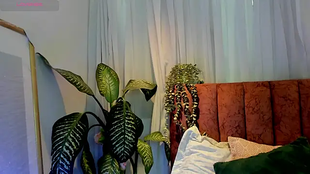 Snapshot of Ashley_Monroe chatting on November 2025 12:42:02 PM Ashley Monroe online show from November 2025 12:42:02 PM