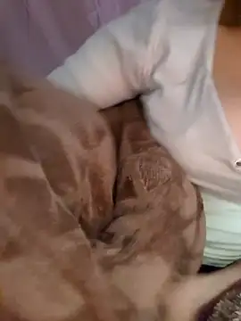 Nana-bar online show from November 2025 03:01:02 PM