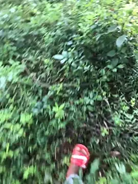 Snapshot of kavi1q1 chatting on January 2026 04:38:02 AM kavi1q1 online show from January 2026 04:38:02 AM