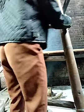 Sinejdk3 online show from October 2025 08:13:01 AM