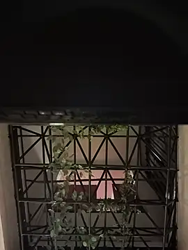 Juann-cock online show from June 2026 03:28:01 AM