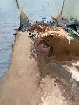 wrdew online show from January 2026 04:05:02 AM