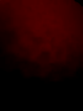 Snapshot of Seksimmm22 chatting on November 2025 03:09:02 AM Seksimmm22 online show from November 2025 03:09:02 AM