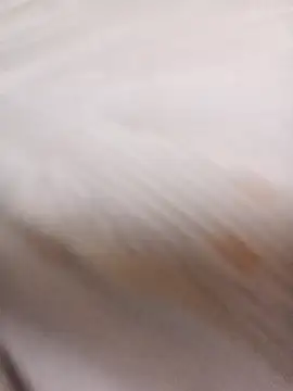 Snapshot of sulove_xx chatting on March 2026 11:40:01 PM sulove xx online show from March 2026 11:40:01 PM