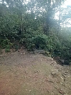 quynhkoolbae online show from February 2026 12:45:01 AM