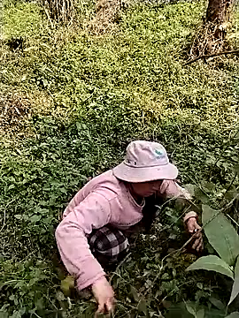 quynhkoolbae online show from March 2026 02:37:01 AM