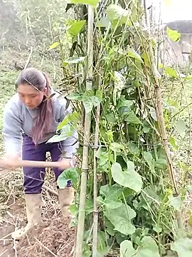 quynhkoolbae online show from March 2026 09:14:02 AM