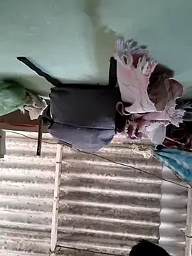 akshant1234 online show from November 2025 05:11:01 AM