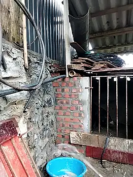 linda bae00 online show from February 2026 12:43:01 AM