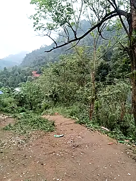 linda bae00 online show from March 2026 09:04:02 AM