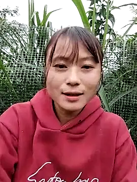 linda bae00 online show from November 2025 09:46:02 AM