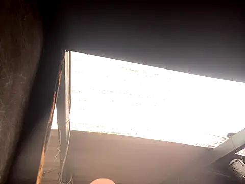 rider239 online show from October 2025 05:16:02 PM