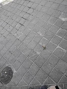 xxxfeo online show from April 2026 12:00:01 PM