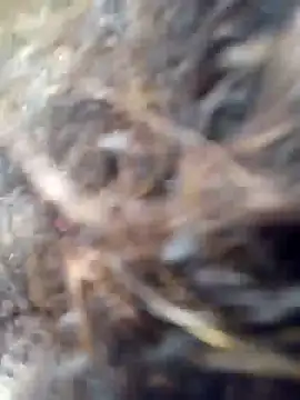 Snapshot of Missparis chatting on November 2025 08:56:01 PM Missparis online show from November 2025 08:56:01 PM