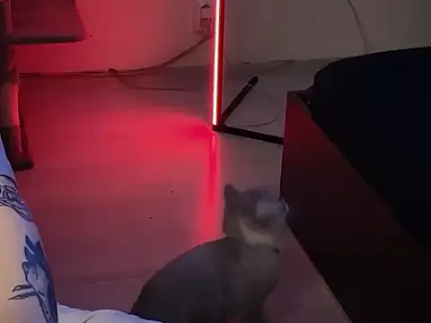 davesinner online show from March 2026 09:42:02 AM