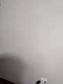 Snapshot of ManualMargay chatting on November 2025 12:20:01 PM ManualMargay online show from November 2025 12:20:01 PM