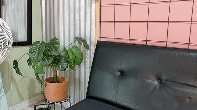 Daiisy kiss online show from February 2026 07:58:01 AM