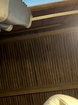 EmLy02 online show from December 2025 10:08:02 AM