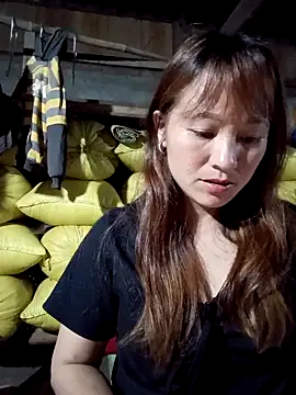 Mini3333 online show from April 2026 01:49:01 PM