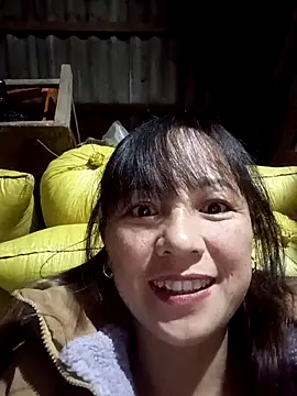 Mini3333 online show from November 2025 12:26:01 PM