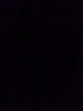 HaltBrand online show from November 2025 03:42:02 AM