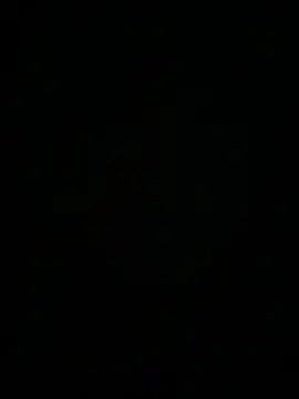 HaltBrand online show from December 2025 06:25:02 AM