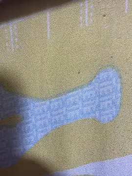 HaltBrand online show from November 2025 12:36:02 AM