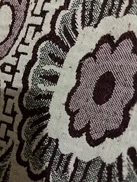 HaltBrand online show from November 2025 12:48:01 AM