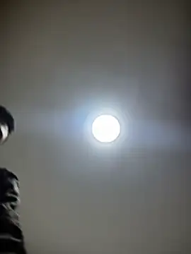 HaltBrand online show from December 2025 08:33:02 PM