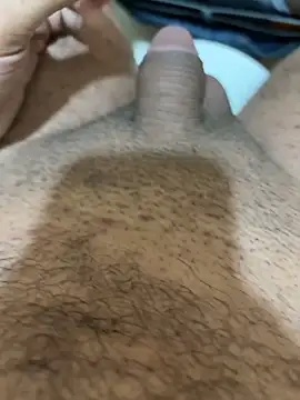 HaltBrand online show from November 2025 09:35:02 AM