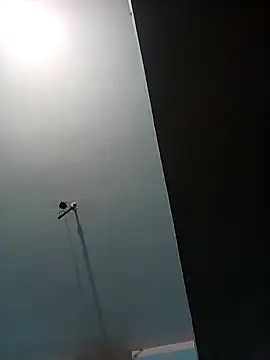 Apkisona8 online show from October 2025 12:23:02 AM