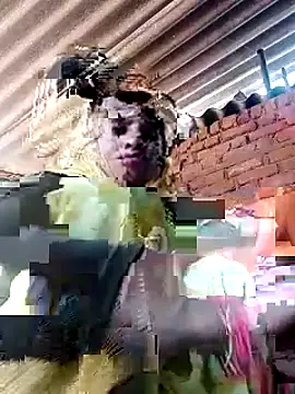 Soniya pandit online show from September 2025 03:49:01 AM